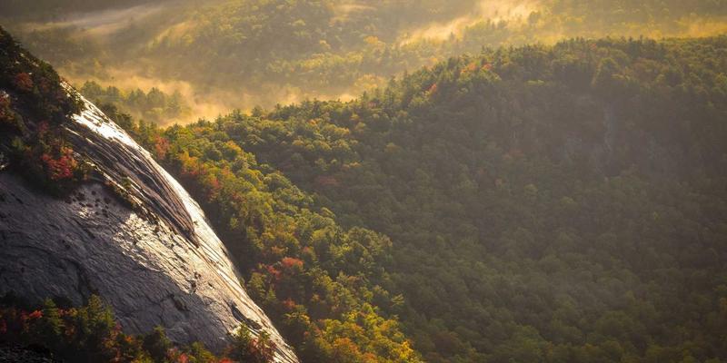 Wi-Fi 7革命：深度解析MLO与4096-QAM如何重构企业网络编程与开发新范式