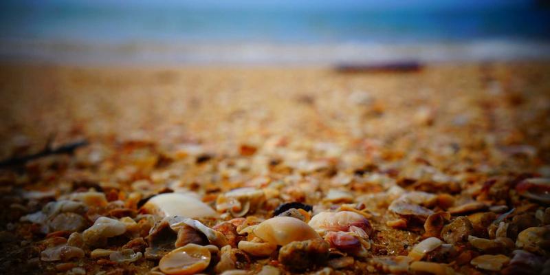 从400G到800G：揭秘下一代数据中心高速互连的技术革命与实战指南