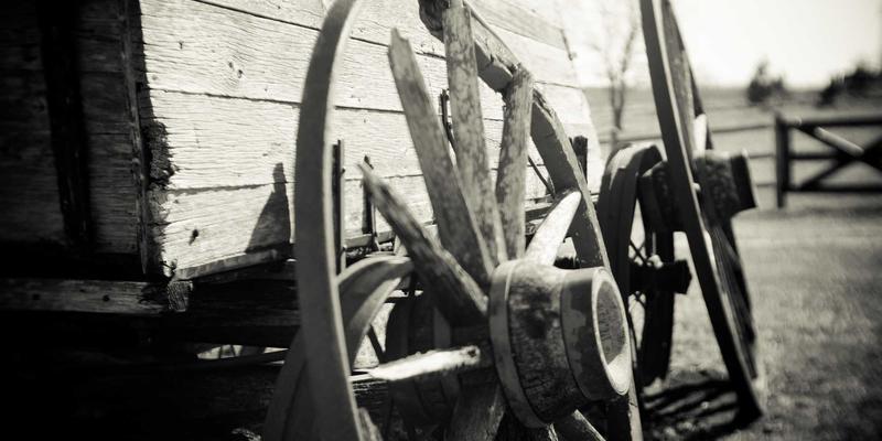 智能网卡(SmartNIC)技术革命：当网络数据平面遇见人工智能，开发者如何抢占先机？