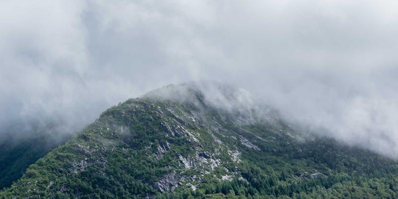 确定性网络技术实战指南:从TSN到DetNet,手把手构建工业与车联网的可靠传输基石