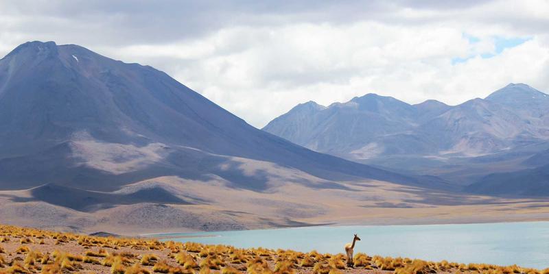 软件定义网络(SDN)如何重塑数据中心？秋世界技术教程带你掌握核心优势与编程实践